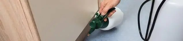 Bed bug exterminator treating baseboards and cracks with targeted spray in Akron, OH