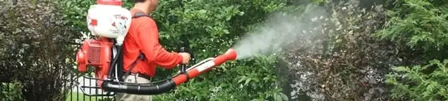 Mosquito control technician fogging shrubs and landscaping for mosquito treatment in Akron, OH
