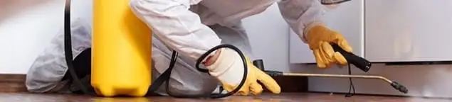 Roach exterminator treating cracks and crevices along kitchen baseboards in Akron, OH
